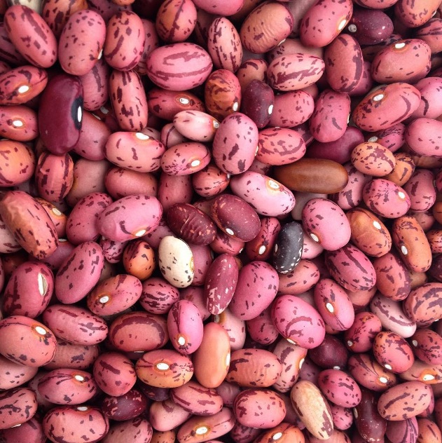 Beans Image